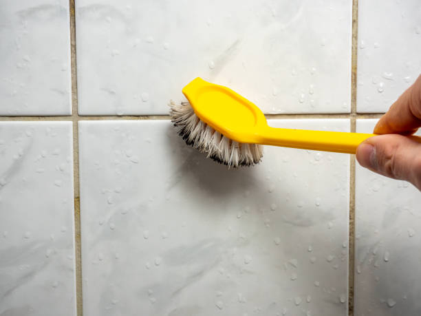 Office Mold Removal Services in South Gull Lake, MI