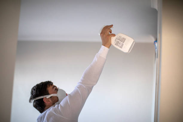 Best Mold Removal Company Near Me  in South Gull Lake, MI