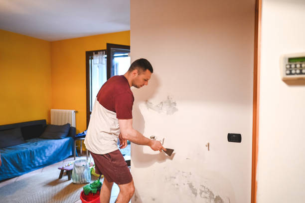 Mold Testing and Removal in South Gull Lake, MI